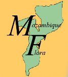 Mozambique flora logo