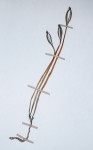 Gastrodia ballii