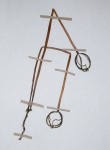 Gastrodia ballii