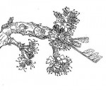 Zanha africana