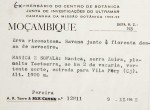 Basananthe pseudostipulata