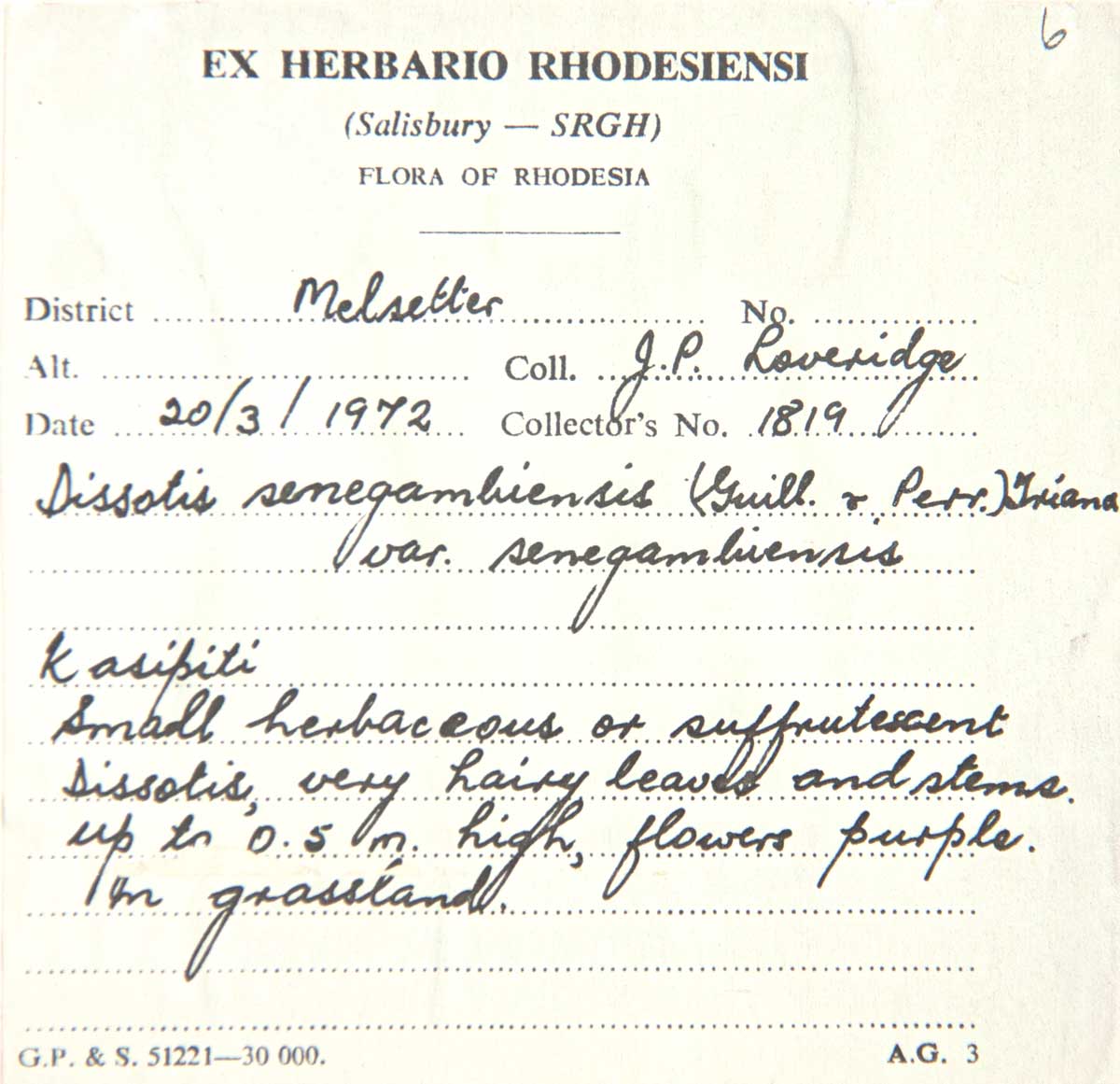 Antherotoma senegambiensis var. senegambiensis