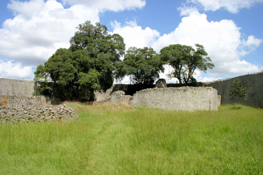 Mimusops zeyheri