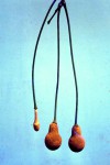 Parkia filicoidea